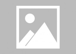 421页娱乐圈吃瓜下载,揭秘421页吃瓜秘辛